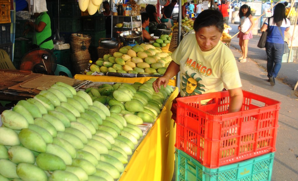 Pests bug Zambales mango&nbsp;trade