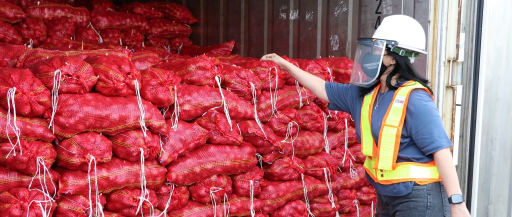 P24-M onion shipment seized in&nbsp;Subic