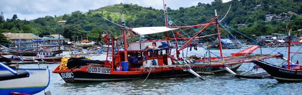 BFAR, USAID team up to continue fight vs. illegal&nbsp;fishing