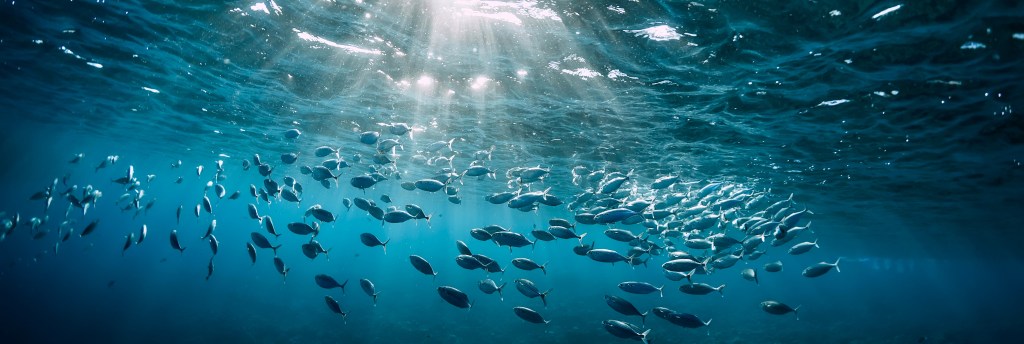 Passage of blue economy bill to sustain PH economic&nbsp;growth