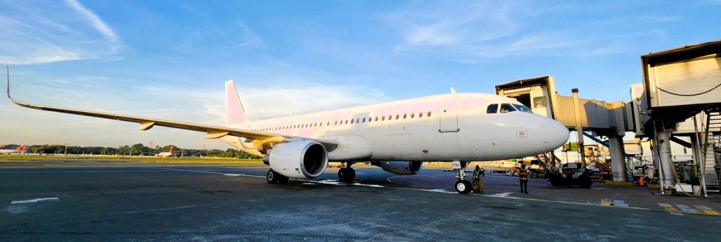 LOOK: Bulgarian plane