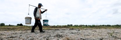 DA records P15.3-B agri damage due to El Niño&nbsp;phenomenon