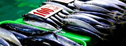 DA: Marine harvest with petrochemical traces unsafe for&nbsp;consumption