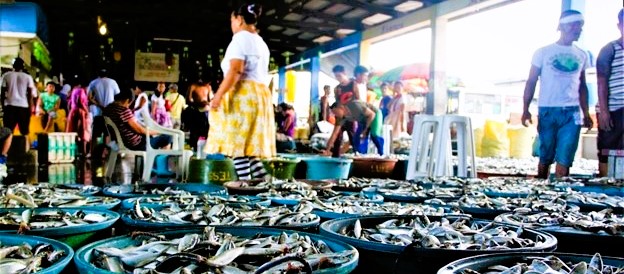 Fish catch in West Philippine Sea declines amid geopolitical tensions, fuel costs and El&nbsp;Niño