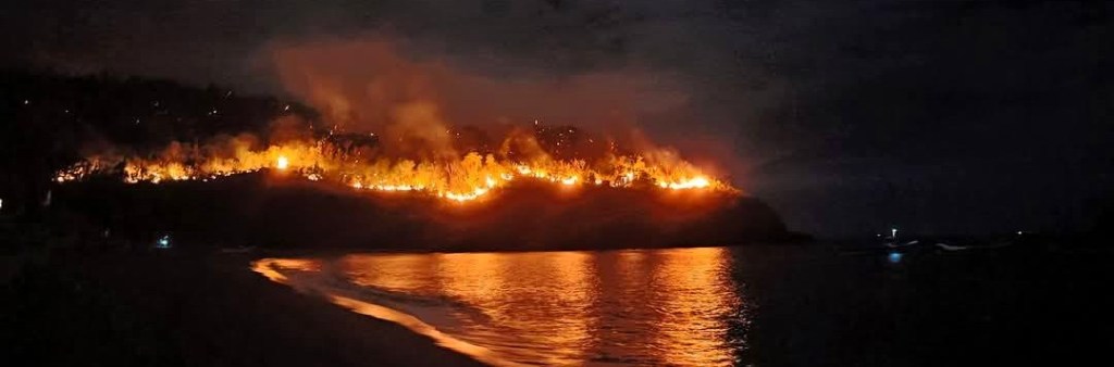 Firemen battled Pundaquit grassfire with sand, tree&nbsp;branches