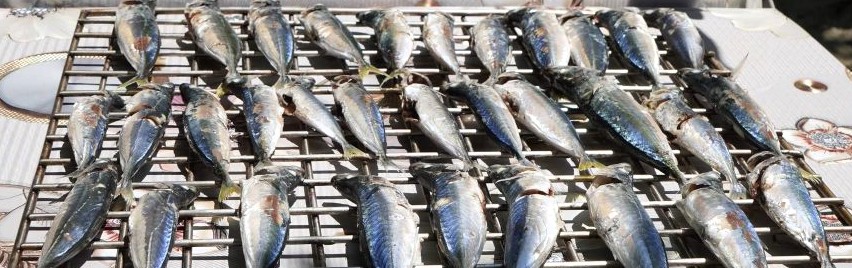 BFAR trains Zambales fisherfolk in ‘pagtitinapa’ to boost&nbsp;livelihood