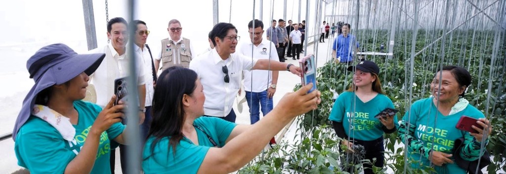 Greenhouse and green technology to enhance food&nbsp;security