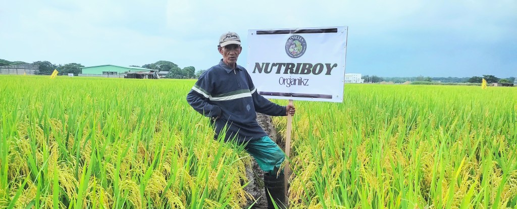 Back to Basics: Natural farming provides farmers cheap, effective, accessible agri&nbsp;inputs