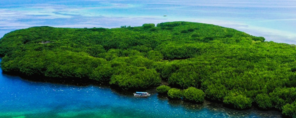 Masinloc marine protected area receives BFAR recognition for conservation&nbsp;efforts