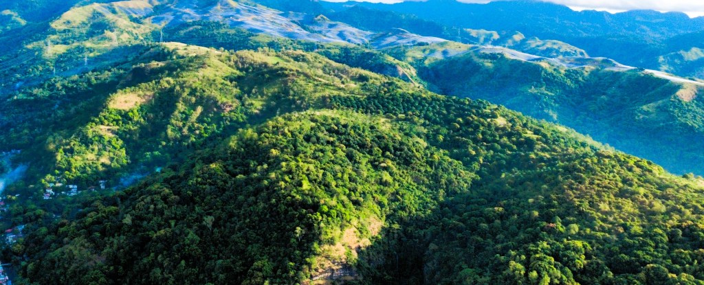 Olongapo officials reject Phase 2 of Aboitiz solar&nbsp;farm