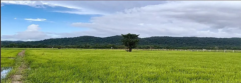 Luzon prime commercial lot, various properties up for PDIC e-bidding from January&nbsp;28-29