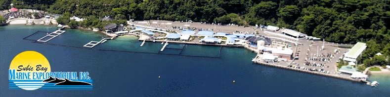 Subic theme park investors hit ‘illegal’ board elections as takeover&nbsp;attempt