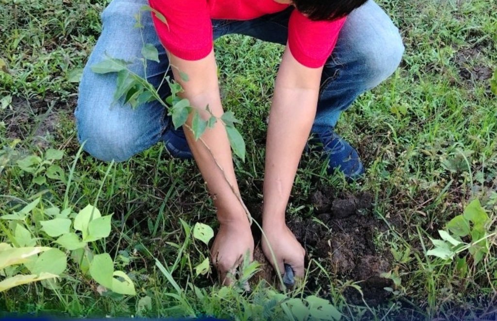Red Cross, DENR project grows 1,000 trees in&nbsp;Iba
